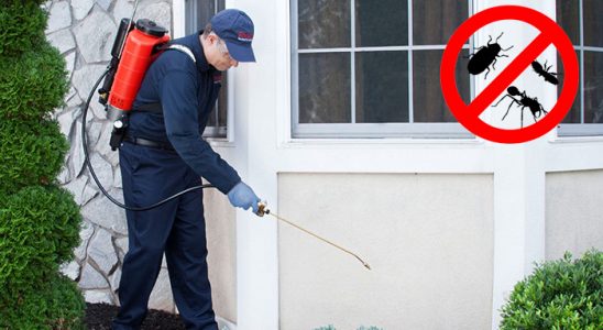 Çavdır Akrep İlaçlama böcek ilaçlama ve haşere kontrolü — ilaclama-tr.com